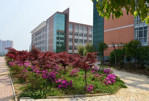 南阳医学高等专科学校图片