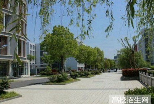 宁南县职业技术学校图片