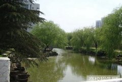 内蒙古工业大学