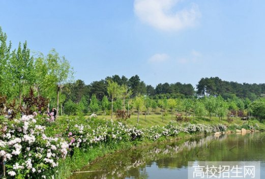 囊阳市护士学校图片