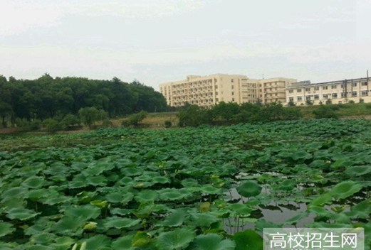 四川省江安县职业技术学校图片