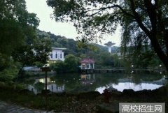 乐山计算机学校