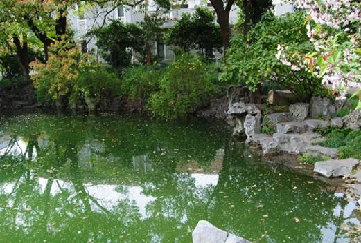 复旦大学医学院图片