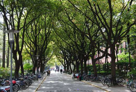 复旦大学医学院图片