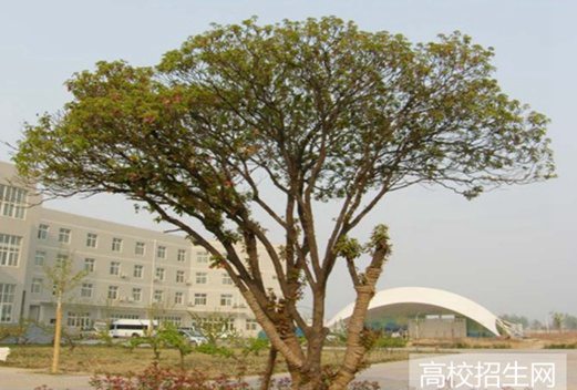 河南机电职业学院图片