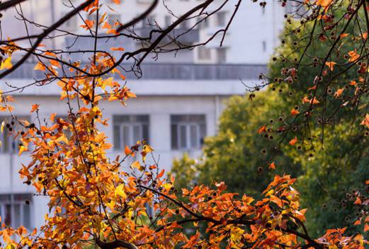 湖南师范大学医学院图片