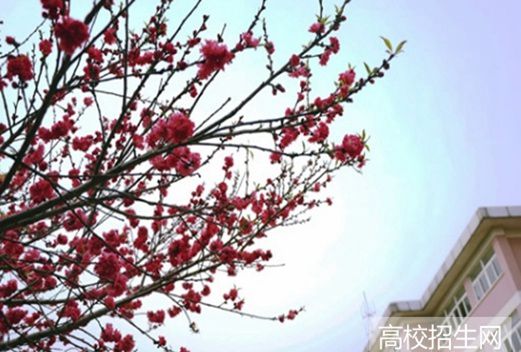 青海畜牧兽医职业技术学院图片