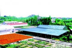 德阳卫生学校