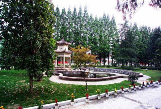 丽水职业技术学院图片