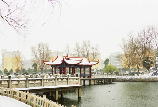 大连市皮口卫生学校图片