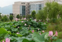 安庆师范大学