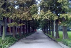 延安大学