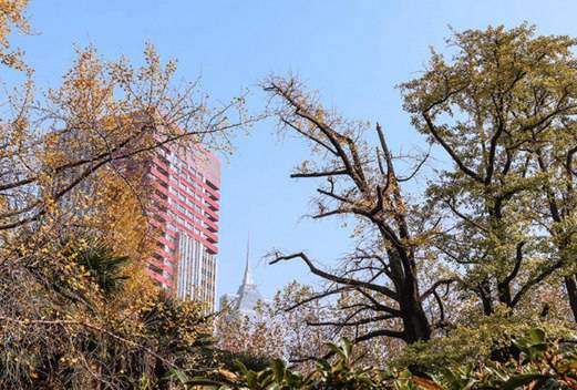 华东师范大学图片