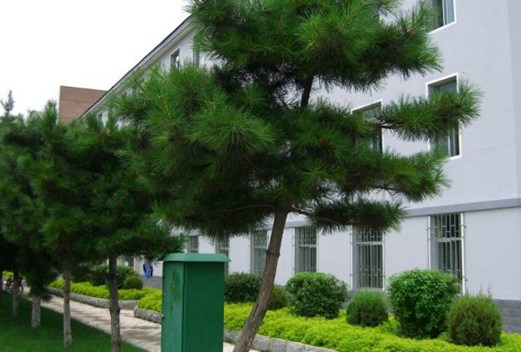 吉林工程技术师范学院图片