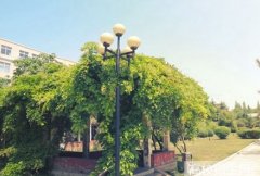 宁夏大学新华学院