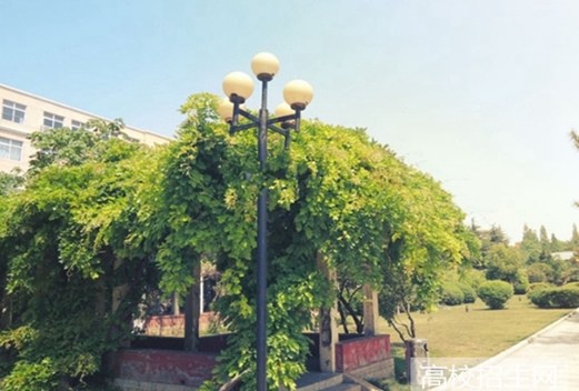 宁夏大学新华学院