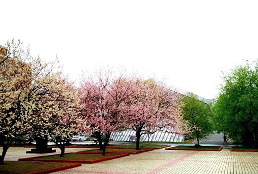 东北师范大学