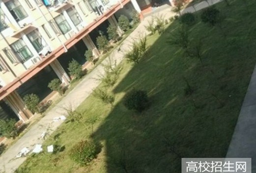 烟台工程职业技术学院图片