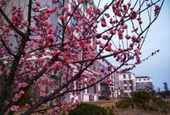 河南省南阳工业学校