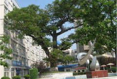 贵州商学院