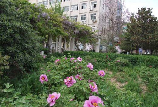 南阳技师学院图片