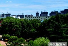 中国一拖学院