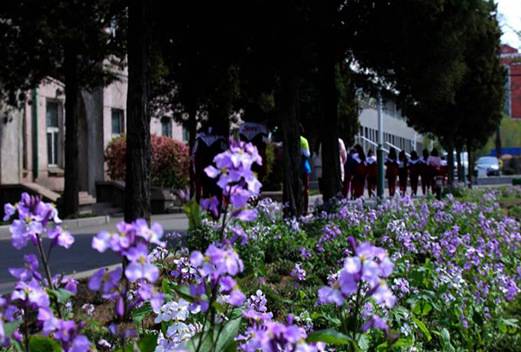 辽宁省辽阳中医药学校