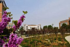 辽宁鞍山师范学院附属卫生学校