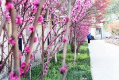 常州大学制药与生命科学学院