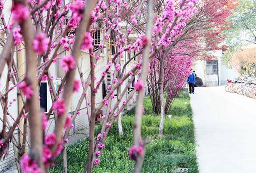 常州大学制药与生命科学学院
