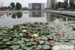 成都华夏旅游商务学校