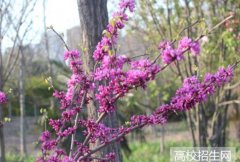 河南工学院