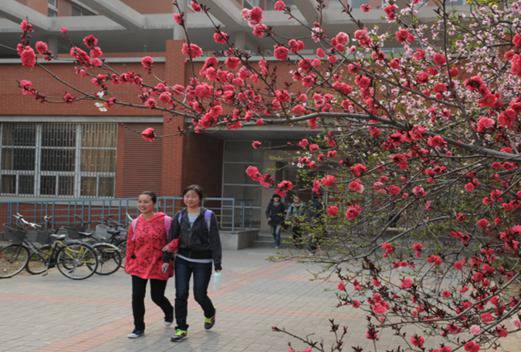 辽宁阜新市卫生学校图片