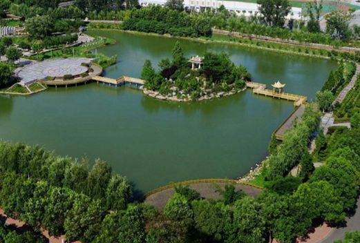 抚顺市卫生学校图片
