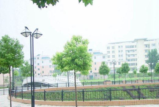 抚顺市卫生学校图片
