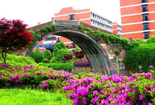 宁夏医科大学图片