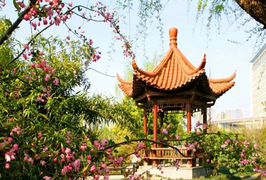 宁夏医科大学图片