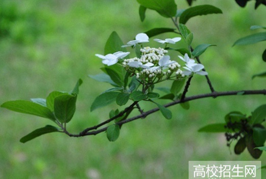 四川省剑阁职业高级中学
