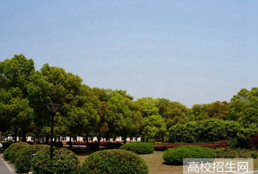 西昌学院图片