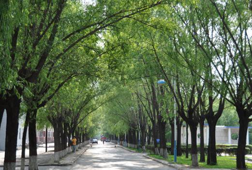 哈尔滨铁建工程技工学校图片