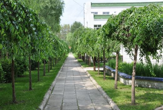 哈尔滨铁建工程技工学校图片