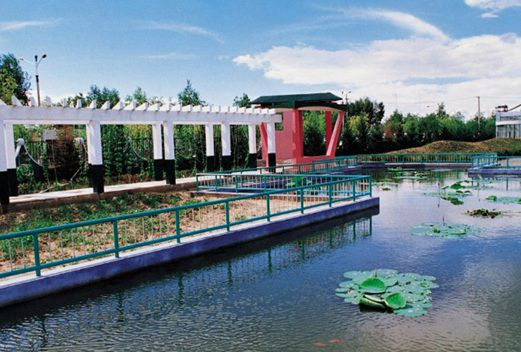 大庆师范学院图片