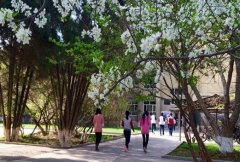喀什卫生学校
