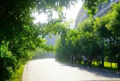 安康职业技术学院