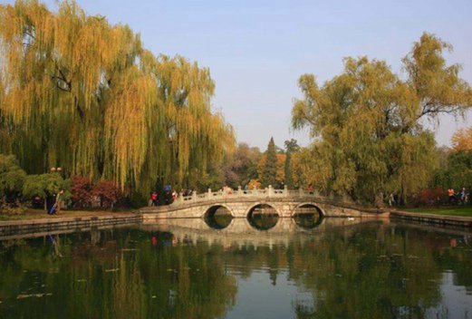 郑州市科技中等专业学校图片