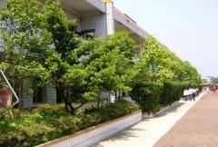 郑州市科技中等专业学校