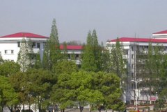 百色学院