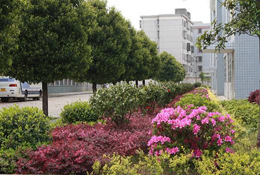 衡阳市高级技工学校图片