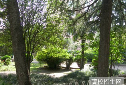 平顶山工业职业技术学院图片