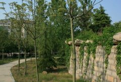 聊城大学教育科学学院